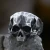 Prstan Skull - SS8-1192R