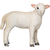 Moj Lamb romney stoji