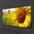 tulup.si Slika na platnu Sončnica flower rastlin 100x50 cm