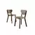 HANAH HOME Set stolica (4 komada) Arfe Cappuccino Brown