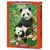 Castorland Sestavljanka 1000 kosov C-104987-2 Panda Brunch