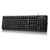 Genius KB-100 tastatura USB QWERTY Engleski Crno