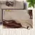 Conceptum Hypnose tepih HM-CRP25-29, pravougaoni, 120 x 180 cm, krem-braon
