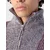 SCOTCH & SODA Pulover pegasto siva/lila