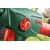 Bosch PFS 1000 pištolj za farbanje, 0603207000