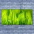 tulup.si Slika na platnu Green grass dew drops 125x50 cm
