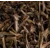 KOJIN (Zeleni čaj - HOJICHA) BIO - 50g