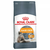 Royal Canin Suva hrana za odrasle mačke Hair & Skin 30 - 2kg.
