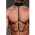 Master Series Collared Temptress Collar with Nipple Clamps