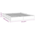 Den Posteljni okvir bel 160x200 cm trden les