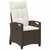 Vrtna stolica 2 pcs Smeđa i krem 56 x 60 x 112 cm