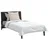 vidaXL Odeja z blazino Bela 140 x 200 cm Mikrofibra