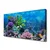 tulup.si Slika na platnu Aquarium fish pod vode 140x70 cm