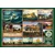 Cobble Hill Puzzle Thomas Chambers 1000 kosov