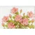 Tapeta vintage šopek vrtnic - 245x165