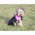 Merco Vest Doggie Jacket za pse roza oblačila velikost L
