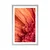 Plakat s paspartujem oranžna gerbera s kapljicami vode - 60x90 black