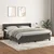Vidaxl Box spring postelja z vzmetnico temno siva 180x200 cm žamet