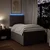 Vidaxl Box spring postelja z vzmetnico taupe 120x200 cm blago