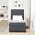 LED Box Spring Krevet Tamno siva i bijela 100 x 200 cm