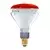 Infracrvena sijalica 250W