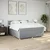 Vidaxl Box spring postelja z vzmetnico svetlo siva 200x200 cm blago