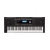Klaviatura arranger E-X20A Roland