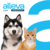 Alleva CARE hrana za pse Adult - Gastrointestinal Low Fat 12kg