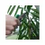 CRAFTER Makaze za cveće jednoručne FLOR70367 (140200290)