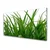 tulup.si Slika na steklu Grass nature rastlin 120x60 cm 2 obešalnika