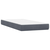 vidaXL Box Spring postelja z vzmetnico Temno siva 80x220 cm Velvet