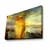 Wallity Slika na platnu 70x100cm