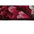 Conceptum Hypnose Tepih Assurance, 80x140cm, Šareni