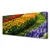 tulup.si Slika na platnu Tulipani rože vrt 120x60 cm