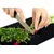 shumee Steklena deska 40x30 Chilli