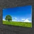 tulup.si Slika na akrilnem steklu Grass tree narava 120x60 cm 4 obešalnika