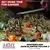John Blanche Volume 3