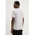 Polo Levis SHORELINE TECH POLO