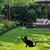 Aberto Design Dekorativna figura Cat 03, 36x31 cm, 1.5 mm