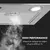 Klarstein Paolo, napa, ugradbena, 72,5 cm, usisavanje zraka: 600 m3/h, LED, srebrna boja
