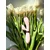Lola games Rabbit vibrator Indeep Malena