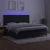 Vidaxl Box spring postelja z vzmetnico LED črna 200x200 cm žamet