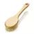 Cactus Long Handle Brush