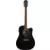 Washburn Heritage D10SCE | Black