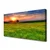 tulup.si Slika na platnu Sun travnik narava 120x60 cm