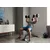 Nastavljiva fitnes klop Pro-Form Carbon Adjustable Bench