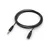 Xwave Audio kabl produžni NT 3.5mm-3.5mm AUX 2m