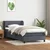 Vidaxl Box Spring postelja z vzmetnico Temno siva 80x220 cm Velvet
