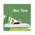 Prevleka za vzmetnico Aloe Vera Extra EMI, 160x200 12 cm