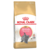 Royal Canin Breed Nutrition Kitten British Shorthair - 400 g